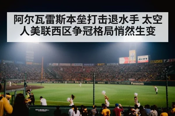 baseball stadium crowd night game